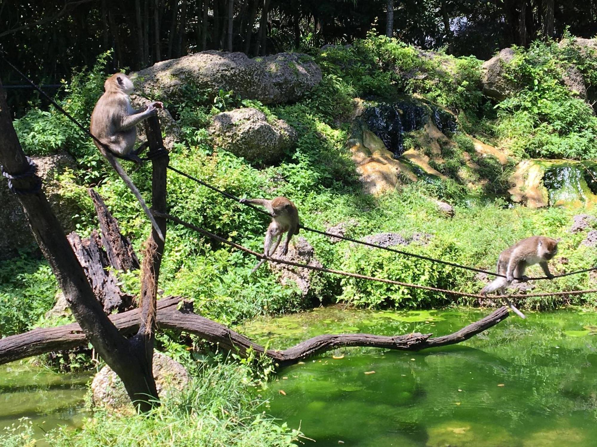 Exclusive Lake Tiny House In Beautiful Japanese Garden 霍姆斯戴德 外观 照片
